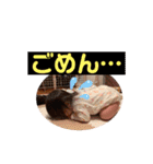 1歳児一凛（個別スタンプ：38）