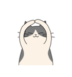まるねこ（白黒）（個別スタンプ：7）