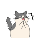 まるねこ（白黒）（個別スタンプ：16）