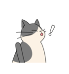まるねこ（白黒）（個別スタンプ：17）