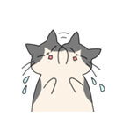 まるねこ（白黒）（個別スタンプ：20）