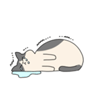 まるねこ（白黒）（個別スタンプ：21）