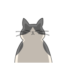 まるねこ（白黒）（個別スタンプ：26）