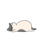 まるねこ（白黒）（個別スタンプ：30）