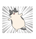 まるねこ（白黒）（個別スタンプ：35）