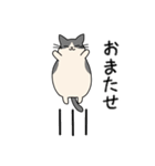 まるねこ（白黒）（個別スタンプ：37）