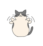 まるねこ（白黒）（個別スタンプ：40）