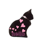 ねこず+ぱぐ（個別スタンプ：1）