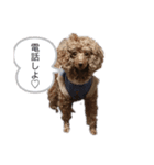 お豆とペット。（個別スタンプ：2）