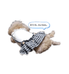 お豆とペット。（個別スタンプ：3）