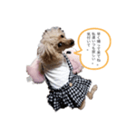 お豆とペット。（個別スタンプ：4）