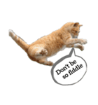 A word from a cat！（個別スタンプ：2）