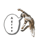 A word from a cat！（個別スタンプ：3）