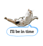 A word from a cat！（個別スタンプ：4）