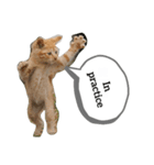 A word from a cat！（個別スタンプ：5）