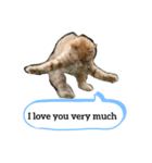 A word from a cat！（個別スタンプ：8）