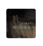 芝犬らん（個別スタンプ：32）