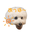 ぼー太郎の日常（個別スタンプ：13）