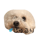 ぼー太郎の日常（個別スタンプ：14）