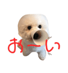 ぼー太郎の日常（個別スタンプ：15）