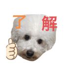 ぼー太郎の日常（個別スタンプ：18）