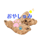 ぼー太郎の日常（個別スタンプ：24）