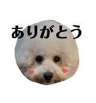 ぼー太郎の日常（個別スタンプ：29）