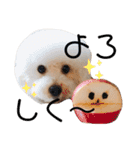 ぼー太郎の日常（個別スタンプ：39）