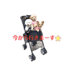 ぼー太郎の日常（個別スタンプ：40）