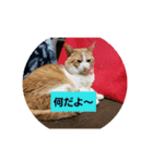 空やん2（個別スタンプ：1）