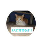 空やん2（個別スタンプ：3）