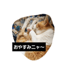 空やん2（個別スタンプ：4）
