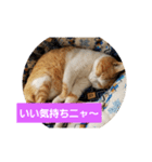 空やん2（個別スタンプ：6）