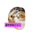 空やん2（個別スタンプ：8）