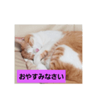 シゲくん（個別スタンプ：4）