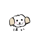 いぬなど（個別スタンプ：1）