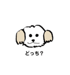 いぬなど（個別スタンプ：3）