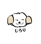 いぬなど（個別スタンプ：5）