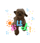 我が家のあろはちゃん❶（個別スタンプ：6）