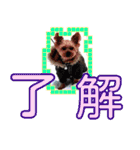 いけいけチョッちゃん！（個別スタンプ：2）