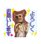 いけいけチョッちゃん！（個別スタンプ：8）