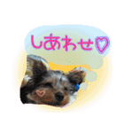 いけいけチョッちゃん！（個別スタンプ：9）