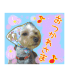いけいけチョッちゃん！（個別スタンプ：13）