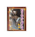 いけいけチョッちゃん！（個別スタンプ：23）