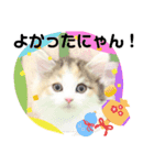 ボストンケンネル の仲間たち①（個別スタンプ：2）