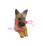 Natsu.ペット（個別スタンプ：2）