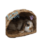 とらちゃん専用スタンプ★（個別スタンプ：12）
