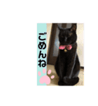こぶやんスタンプ  第4弾（個別スタンプ：13）