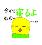 ダラッとインコちゃん（個別スタンプ：3）