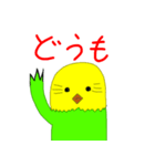 ダラッとインコちゃん（個別スタンプ：6）